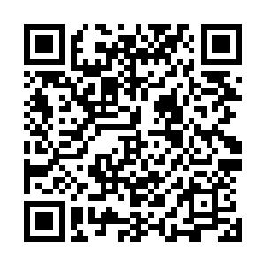 秃子和他的大哥疤眼在云东扒手团伙里也算是大名鼎鼎的了二维码生成