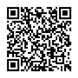 秋竹几人微微一愣顺着自家小姐的视线望了过去二维码生成