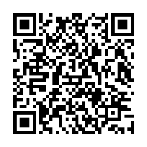 种出桃树后还可以让燕小霞用这种天界桃木幻化自己的手臂二维码生成