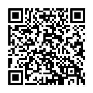 种植之法我已经刻录在了小袋子中的一枚竹简上二维码生成