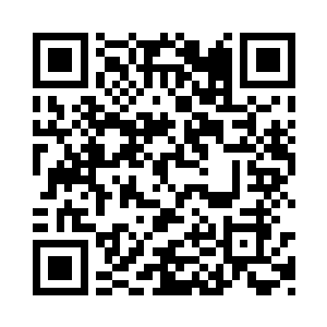 种种气道资源点以及整个身躯都还原成了气流二维码生成