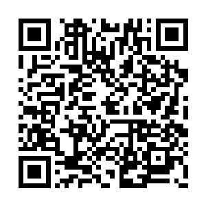 秘典秘术也可以为弟子们提供更广阔的修炼道路二维码生成