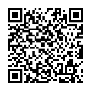 秘境中的那些高手能够侥幸活下来都已经算是运气好了二维码生成