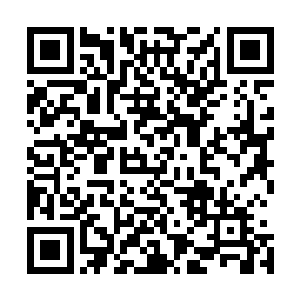 秦亦臻见年纪明显比秦岚小了不少的年轻人不叫自己秦省长二维码生成