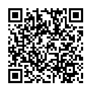 秦依雪二女眼神流露着担忧地来到了龙羽的身旁二维码生成