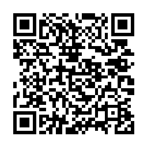 秦国母亲家族依仗两千甲士就能在金陵坚持十五年不朝陛下二维码生成