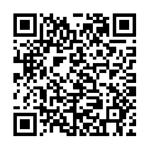 秦宇会这样做的原因是因为好几次大战的时候身上的东西都毁了二维码生成