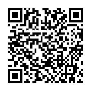 秦宇愕然的原因是因为饿鬼帅的这进化似乎是太简单了点二维码生成