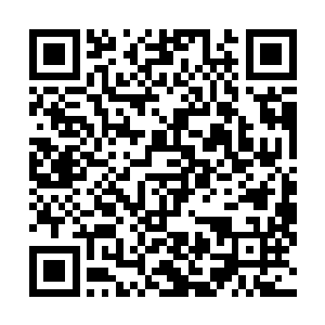 秦岚除了之前因为夏云杰的事情在他二叔面前显得很羞赧二维码生成