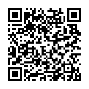 秦崇聿和余平安丢下手里的东西飞速从厨房跑出来二维码生成