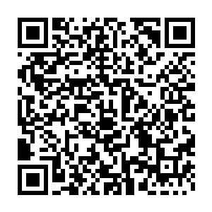 秦方也只能保证自己有把握成功的突破这一次的围剿……带上一个累赘二维码生成