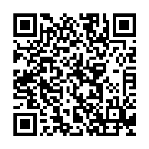 秦方也就有了些许的了解的……其中就包括这种诡异的变身秘技二维码生成