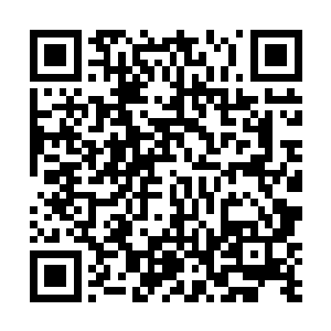 秦方也早已经预料到幽冥水妖肯定会从这个方向突围的二维码生成