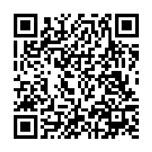 秦方便立即出手阻止他……心理防线已经崩溃的这个年轻人二维码生成
