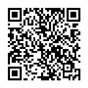 秦方原本只是感觉到此刻的龙象法王变得格外的可怕了二维码生成