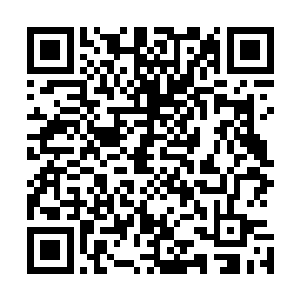 秦方又怎么可能只是简单的灭掉许云飞的肉身就完事儿了呢二维码生成