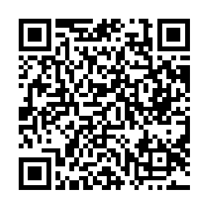 秦方可是做了相当多的准备了……各种需要用的丹药不说二维码生成