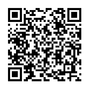 秦方和悟空和尚各自手持神剑对这张蟒皮开始剥离二维码生成