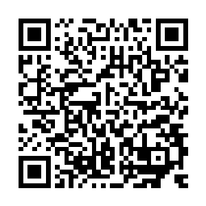 秦方如今年轻便已经在武学和炼药两个方面达到了相当高的层次二维码生成