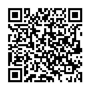 秦方居然没有去取剑……那么他的那一点点如意算盘二维码生成