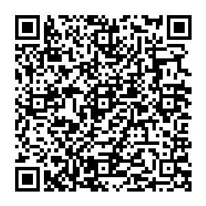 秦方心里面有句话并没有说出来……那小湖里面似乎隐藏着什么让他都感觉到恐惧和颤栗的存在二维码生成