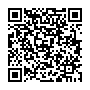 秦方总觉得这里面好像有什么他没有猜出来的猫腻二维码生成