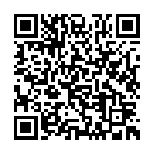 秦方或许就可以成长为宗师级高手……到那时候二维码生成