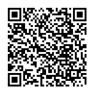 秦方甚至觉得他的那只即将要跨入灵兽层次的雪狐貂都不曾拥有的……当然了二维码生成