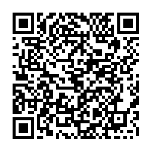 秦方的父亲秦天楠的手上也必然染了不少人的血……那是一个残酷的境地二维码生成