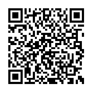 秦方的血液便已经具备了给楚芊芊输血的条件了二维码生成