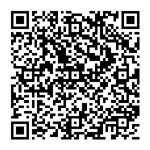 秦方自然也是不太相信的……他更愿意相信血魔宗的护山神兽是一种与麒麟比较相似的血系灵兽二维码生成