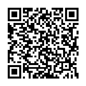 秦方还就不信最后连一份狂化药剂都炼制不出来二维码生成