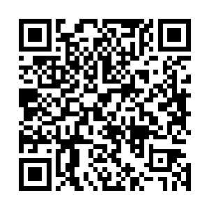 秦方连亚特兰斯蒂古城的那个护法大阵也顶多只能自由出入二维码生成
