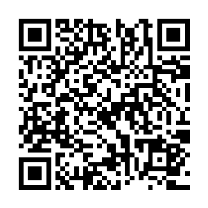 秦洛下午的时候就知道了仇家开会讨论出来的结果二维码生成