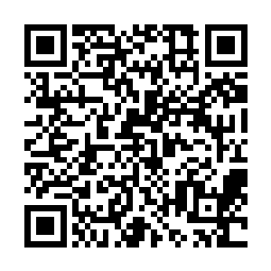 秦洛也觉得自己过多的插手可能会影响导演的工作积极性二维码生成