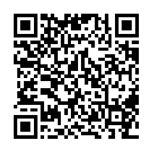 秦洛和陈思璇两人站在酒店的门口等着大头把车子开过来二维码生成