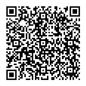 秦洛很想告诉他说自己不是什么领导人更不是什么领导人的儿子让他不用这么客气你这样不难受我看着都难受二维码生成