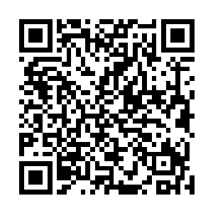 秦洛抽调了菩萨门正气门和鬼医派的一部份精英随团访问二维码生成