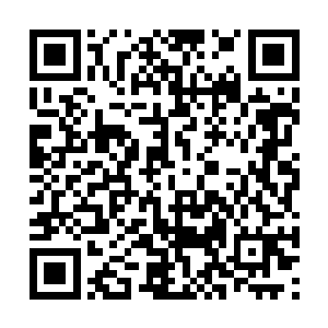 秦洛拉来了两门一派的众多高手齐心协力这么多天二维码生成