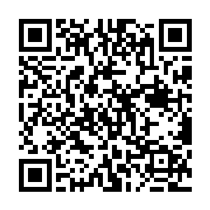 秦洛最大的特长就是他见过一眼的美女就能够做到过目不忘二维码生成