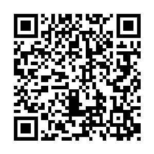 秦洛连给那个女人打电话询问一下的意思都没有二维码生成