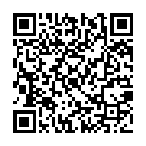 秦纵横和秦洛闻人照再次回到闻人霆老爷子的房间二维码生成
