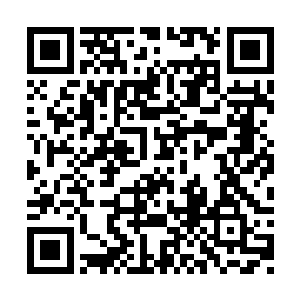 秦纵横就藏在自己的天波府一号不愿意出来见人二维码生成