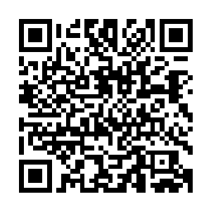 秦薇薇的声音这时通过安装在商船内部各处的扩音器传了出来二维码生成