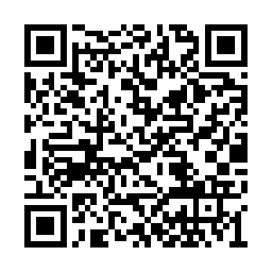 秦铮闲适地坐在椅子上靠着椅背同样看着谢芳华二维码生成