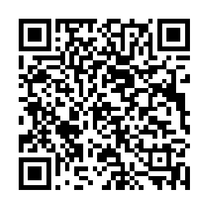 秦风已经瞬间挡在了龙老面对那些将军山军人们的一面二维码生成