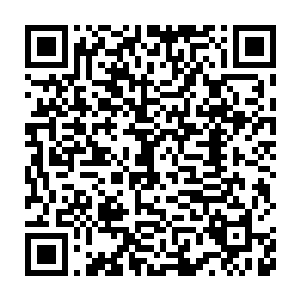 积累了三天的问题此刻若是不让他们全部说出来那简直就是憋得难受二维码生成