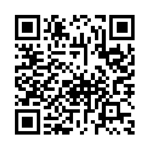 移民局的官员也算是比较客气耐心二维码生成