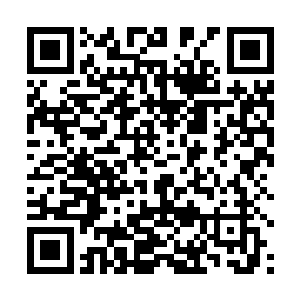 移民星舰上还有大量女性以及全自动自律式教育机器人二维码生成