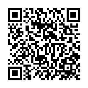 稀疏的茅草下林锐就藏在距离那个叛军身侧不到两米的地方了二维码生成
